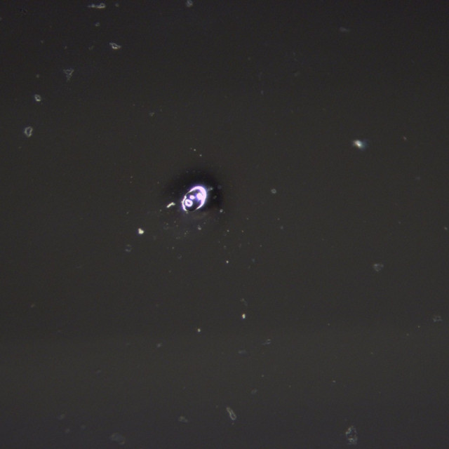 „Pickel“ auf Galvanik – Vergrößerung: 40:1