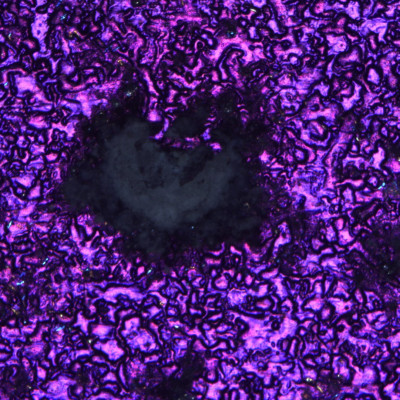 Lokaler Weißrostangriff im polarisiertem Licht – Vergrößerung: 50:1