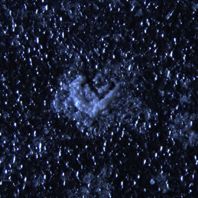 Lokaler Weißrostangriff – Vergrößerung: 40:1