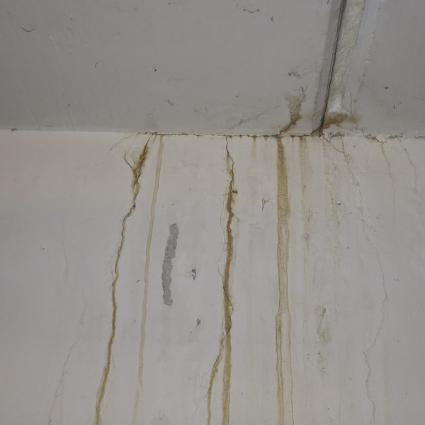 eindringende Feuchtigkeit